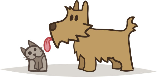 诺里奇在舔猫。图片下载