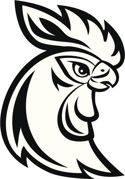 公鸡的头图片下载