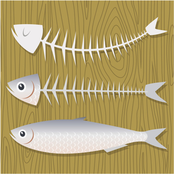 沙丁鱼图片下载