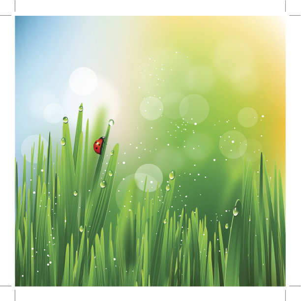 绿草上的瓢虫图片下载