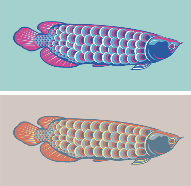 鱼阿罗瓦纳图片下载