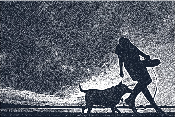 在湖边遛狗图片下载