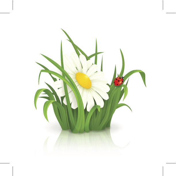 夏天的草图片下载