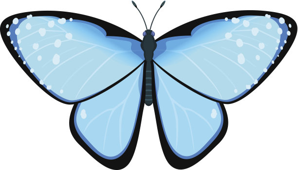 蓝色蝴蝶的矢量插图图片下载