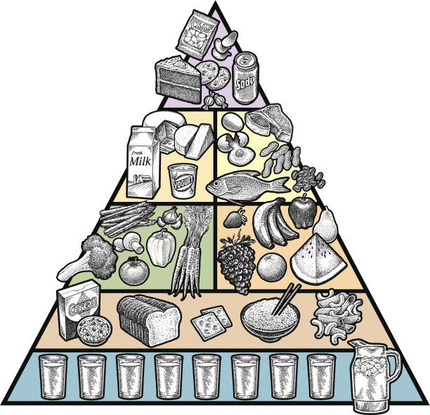 食物金字塔图片下载