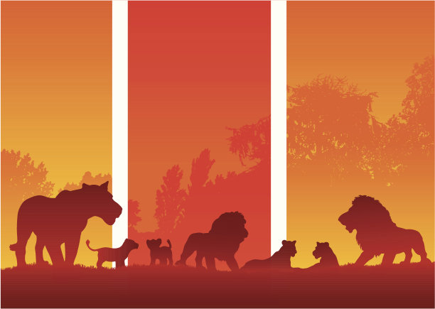 非洲狮群和幼狮的日落剪影图片下载