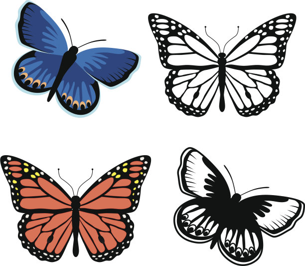 帝王蝶和卡纳蓝蝴蝶图片下载