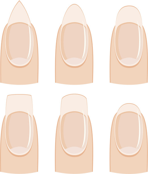 指甲的形状图片下载