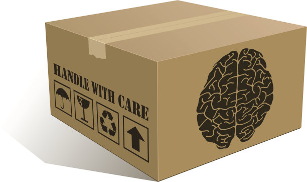 大脑的盒子图片下载