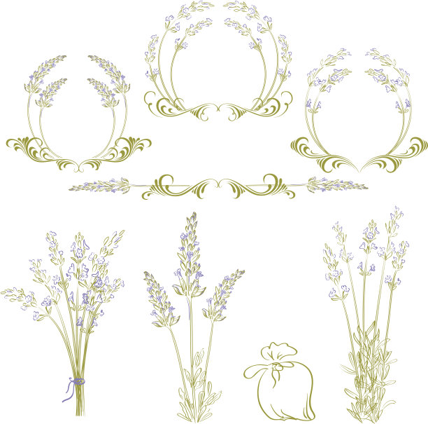 薰衣草图片下载