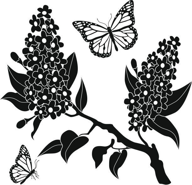 紫丁香和黑脉金斑蝶图片下载