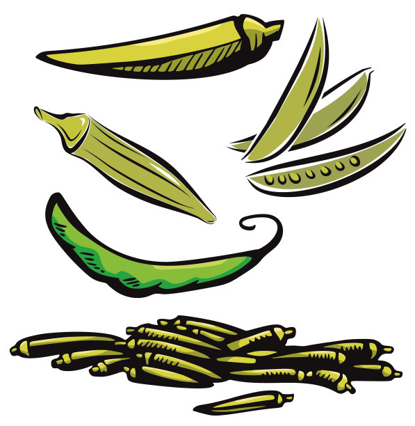 蔬菜插图21:法国豆和秋葵(矢量)图片下载