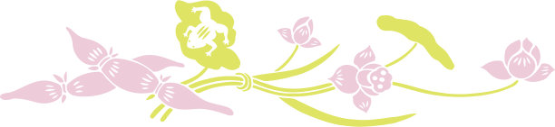 青蛙与莲花(新年矢量)图片下载