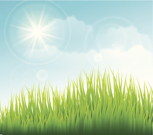 春天的背景图片下载