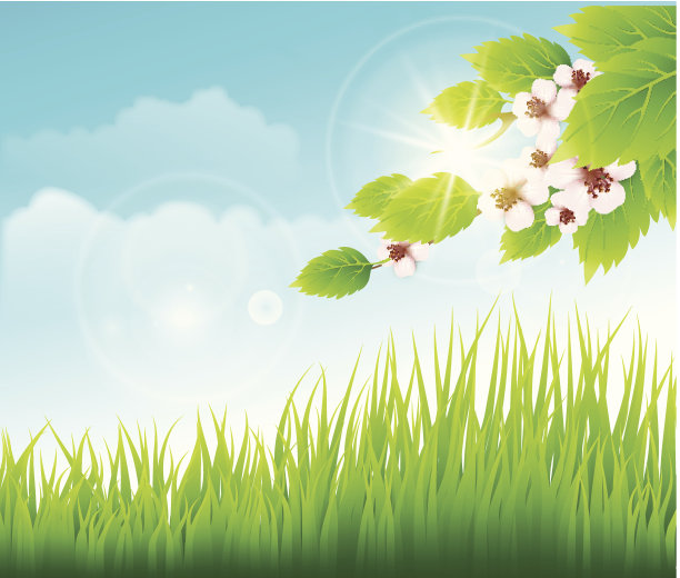 春天的背景图片下载