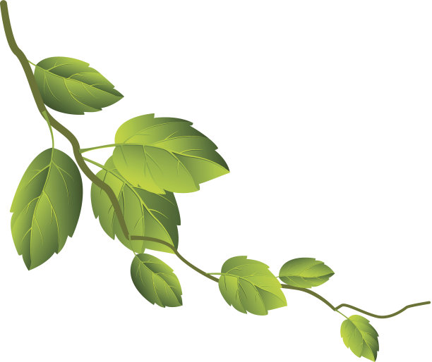 春天树枝图片下载