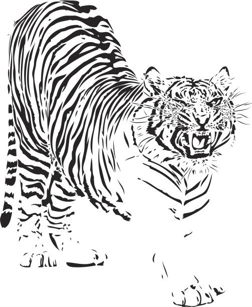 老虎插图图片下载