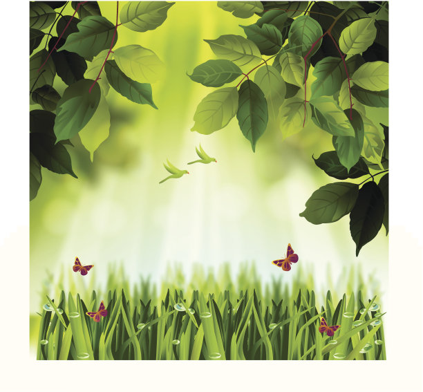 美丽的春天的背景图片下载