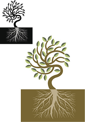 树和根图标图片下载