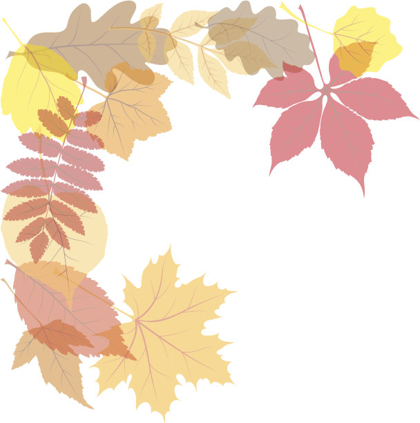 秋天的落叶图片下载