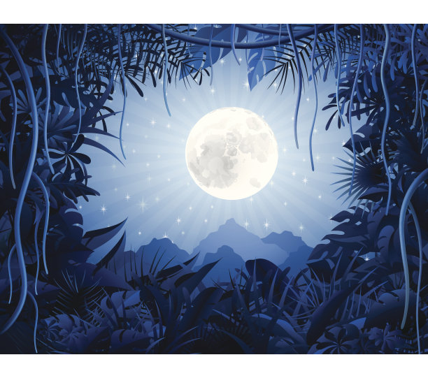 丛林之夜图片下载