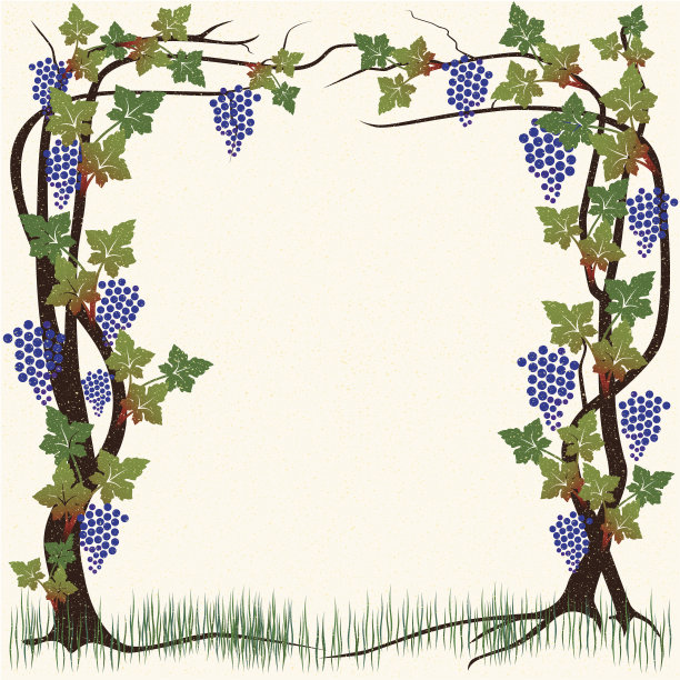 葡萄框架图片下载