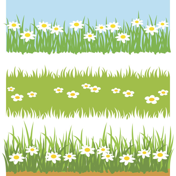 绿草配白花图片下载