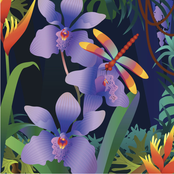 兰花和蜻蜓图片下载