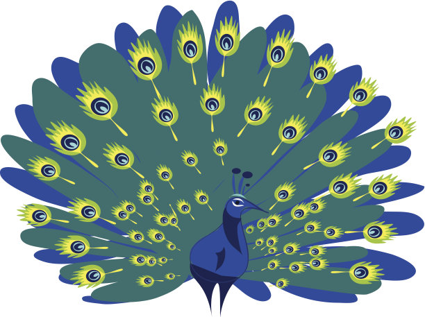 孔雀图片下载