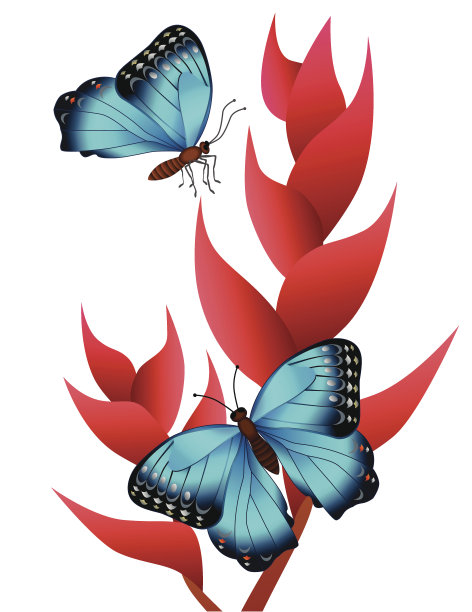 向日葵和大闪蝶图片下载