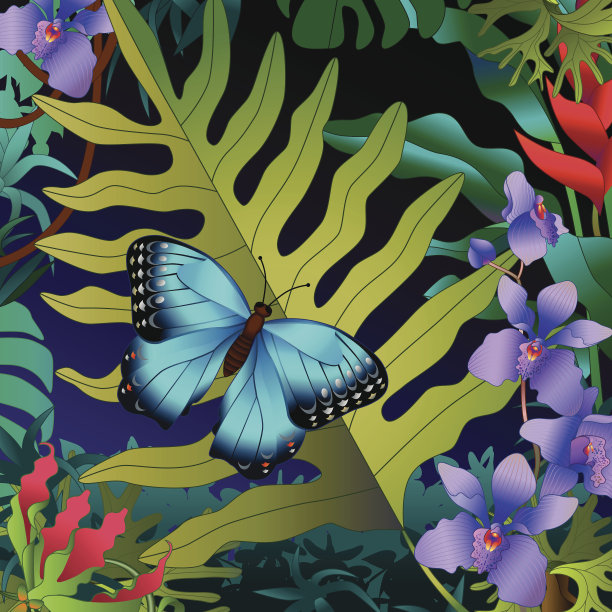 热带蝴蝶和蕨类图片下载