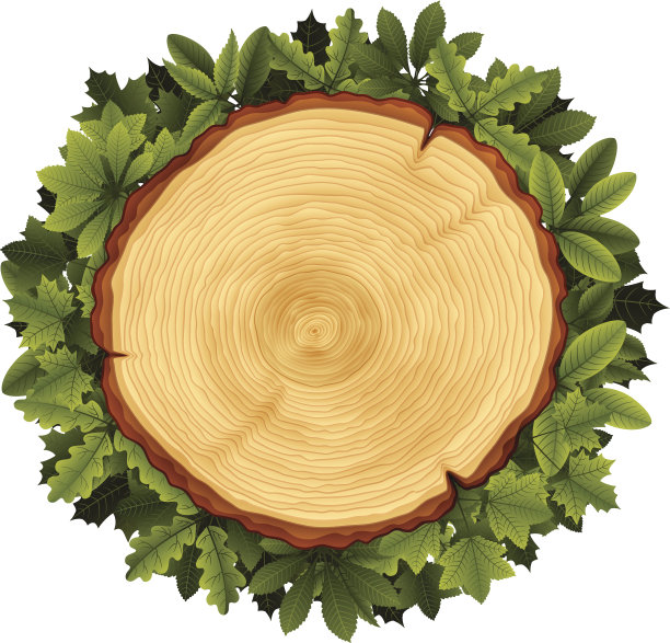 树横截面和树叶花环图片下载