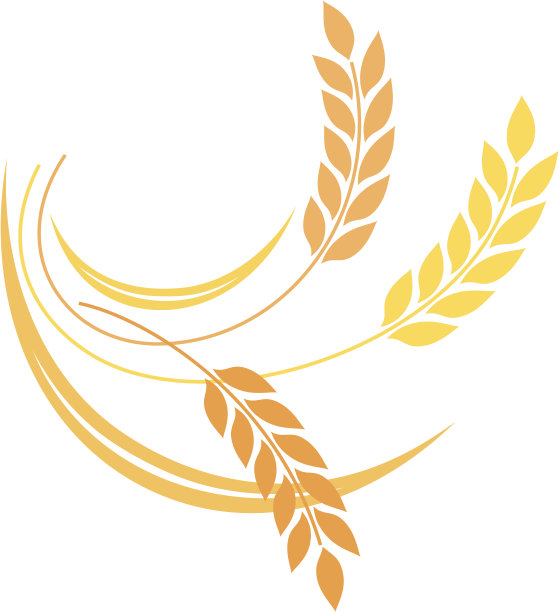 小麦图标素材图片