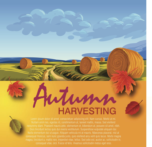 美丽的秋天背景图片下载