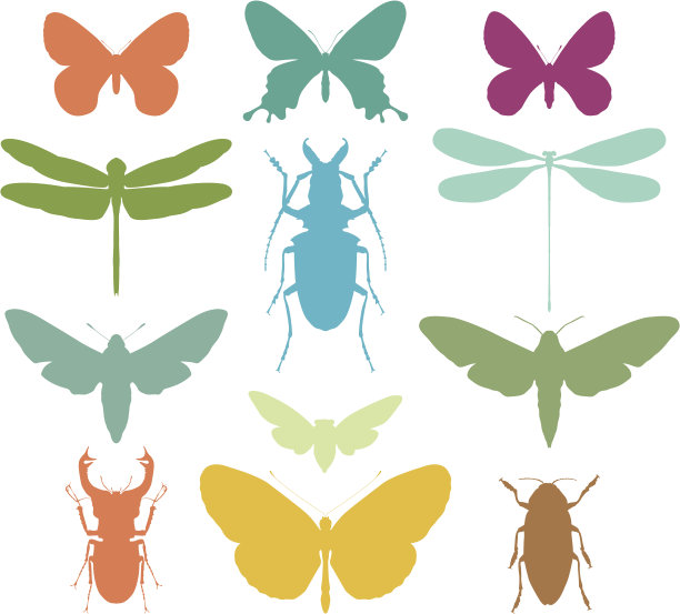 五颜六色的缺陷轮廓图片下载