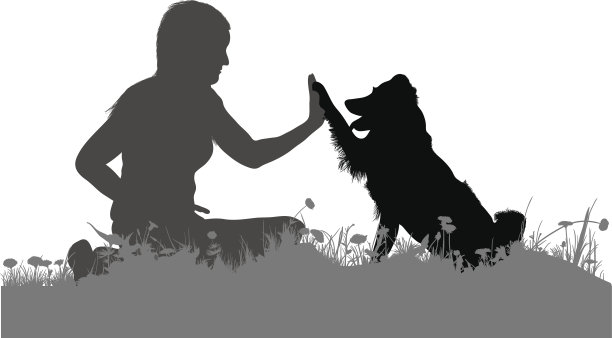 你好,五图片下载