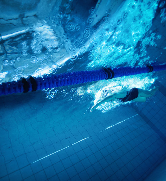 她的训练有了回报图片下载