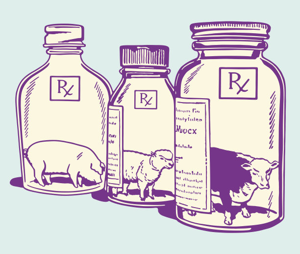 药瓶里的家畜图片下载