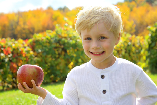 苹果园里的可爱小孩图片下载