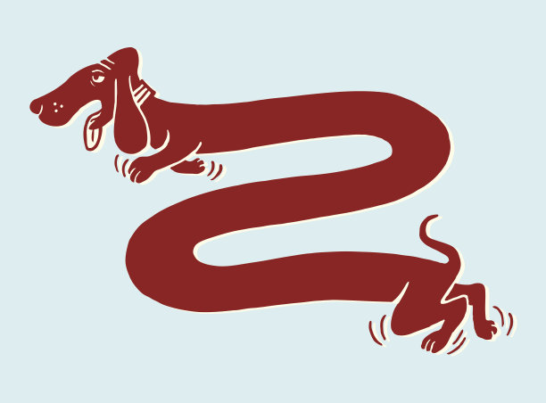 很长的狗图片下载