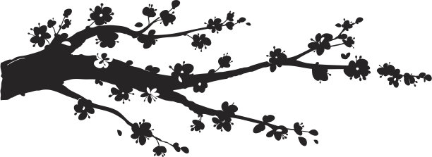 樱花轮廓图片下载