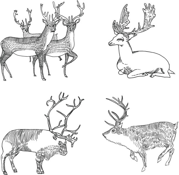 圣诞节设置图片下载