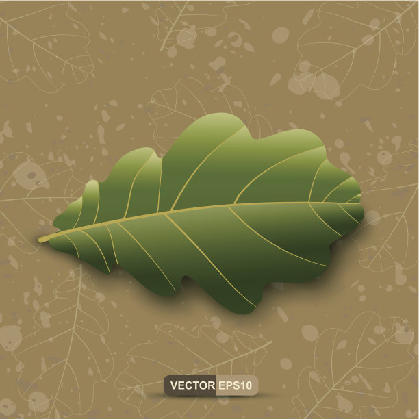 垃圾摇滚背景下的橡树叶。EPS10图片下载
