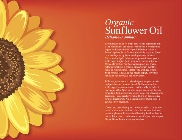 充满活力的向日葵背景图片下载