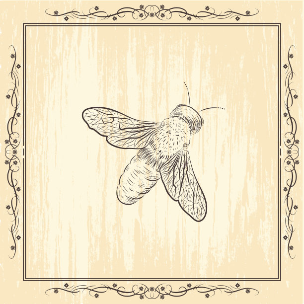 在垃圾背景上的蜜蜂素描图片下载