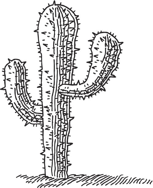 仙人掌图图片下载