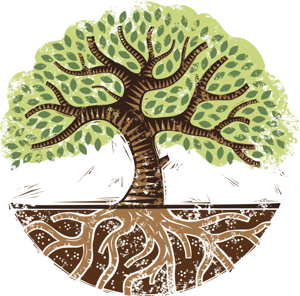 难看的东西树圈图片下载