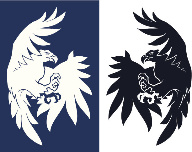 飞翔的鹰图片下载