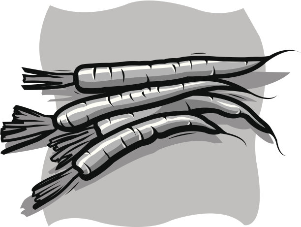 胡萝卜图片下载