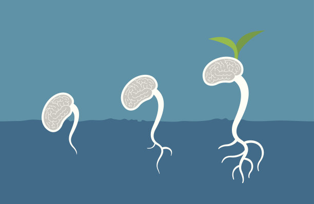 大脑发芽图片下载